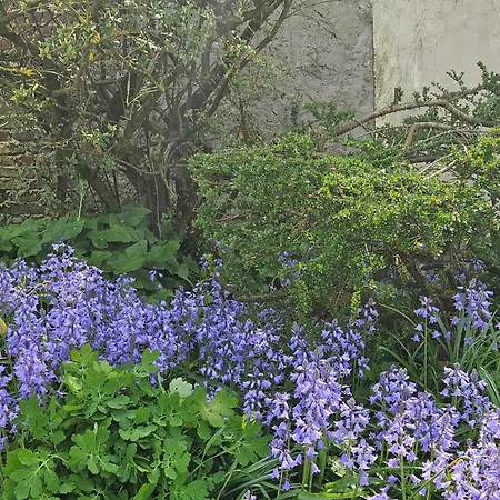 La Petite Rangeoise *