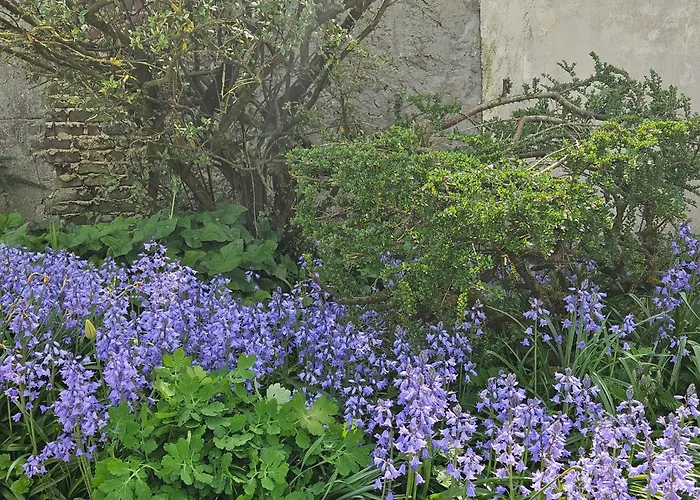 La Petite Rangeoise *